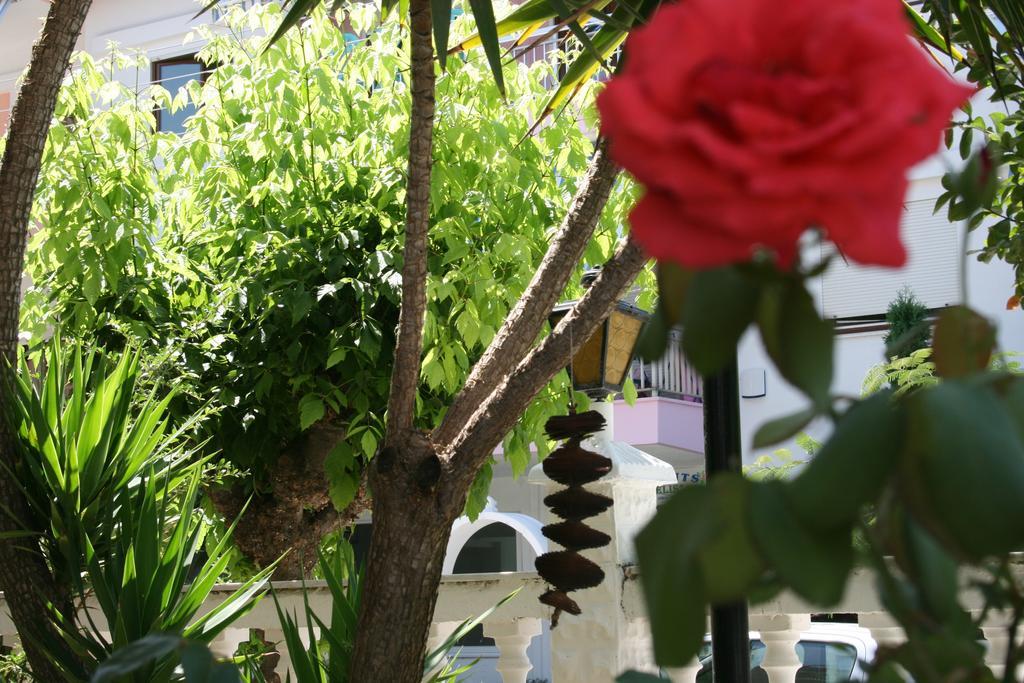 Dionisos Palms Apartments Paralia Dionisiou Chambre photo