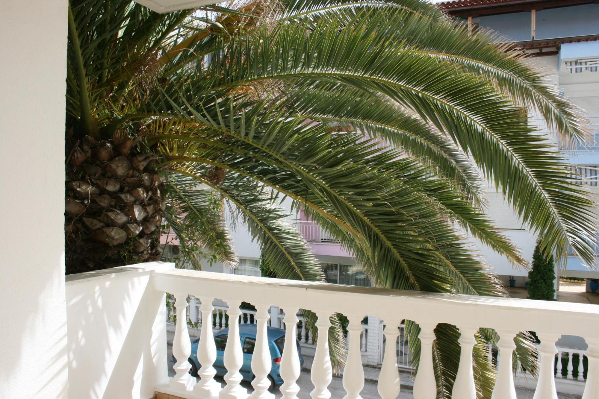 Dionisos Palms Apartments Paralia Dionisiou Extérieur photo